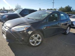 Ford Focus salvage cars for sale: 2013 Ford Focus SE