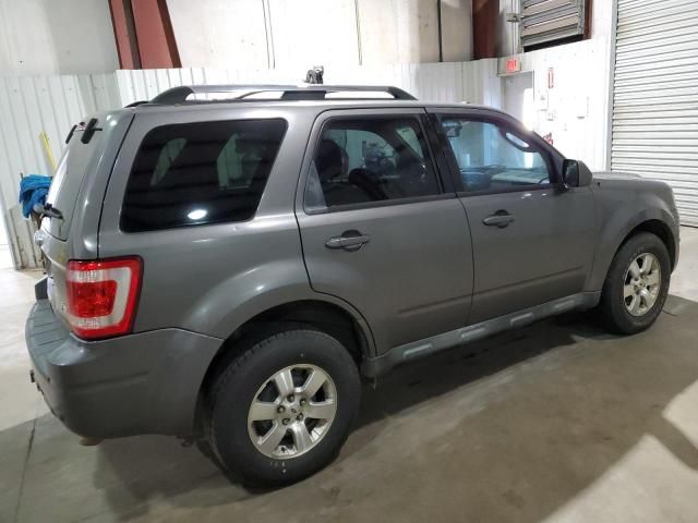 2010 Ford Escape Limited