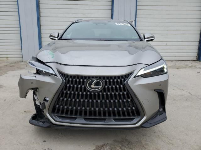 2024 Lexus NX 350 Luxury