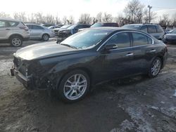 Salvage cars for sale at Baltimore, MD auction: 2010 Nissan Maxima S