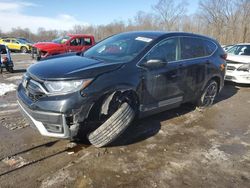 Salvage cars for sale at Ellwood City, PA auction: 2020 Honda CR-V EX