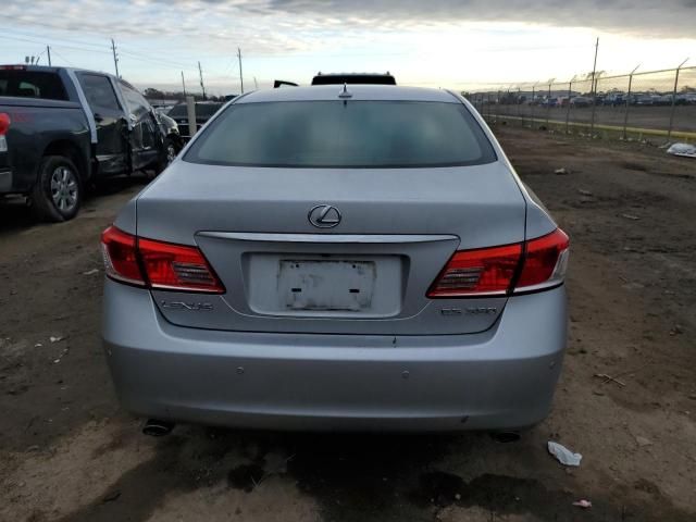 2010 Lexus ES 350