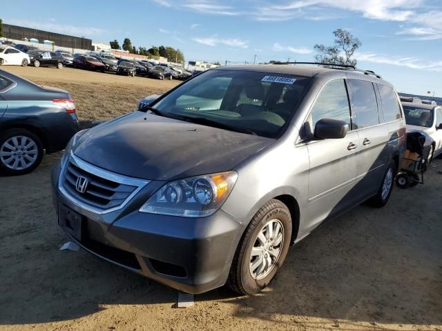 2010 Honda Odyssey EXL