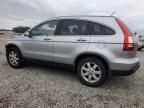 2008 Honda CR-V EXL