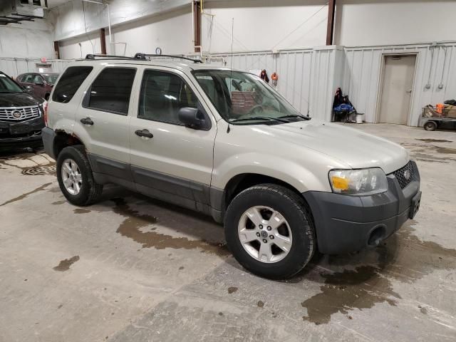 2005 Ford Escape XLT