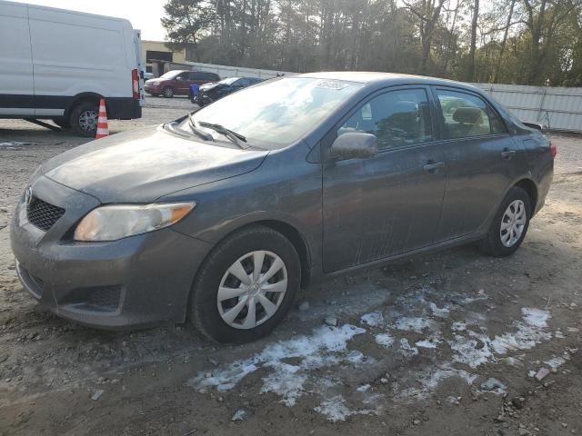 2010 Toyota Corolla Base