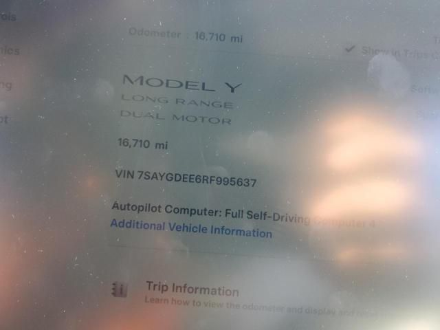 2024 Tesla Model Y