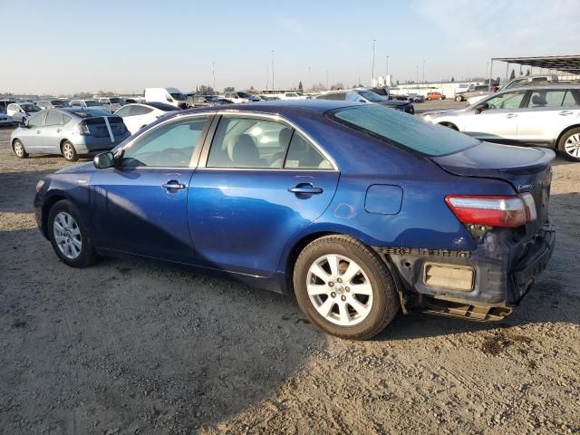 2009 Toyota Camry Hybrid