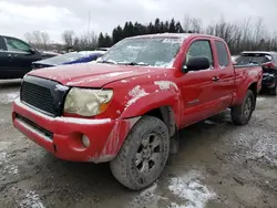 Toyota Tacoma Access cab salvage cars for sale: 2008 Toyota Tacoma Access Cab