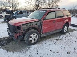 Salvage cars for sale at Baltimore, MD auction: 2011 Ford Escape XLT