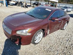 2010 Nissan Maxima S en venta en Memphis, TN