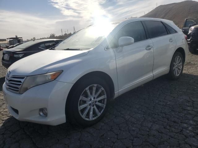 2010 Toyota Venza