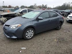 Vehiculos salvage en venta de Copart Riverview, FL: 2014 Toyota Corolla L