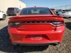 2019 Dodge Charger R/T