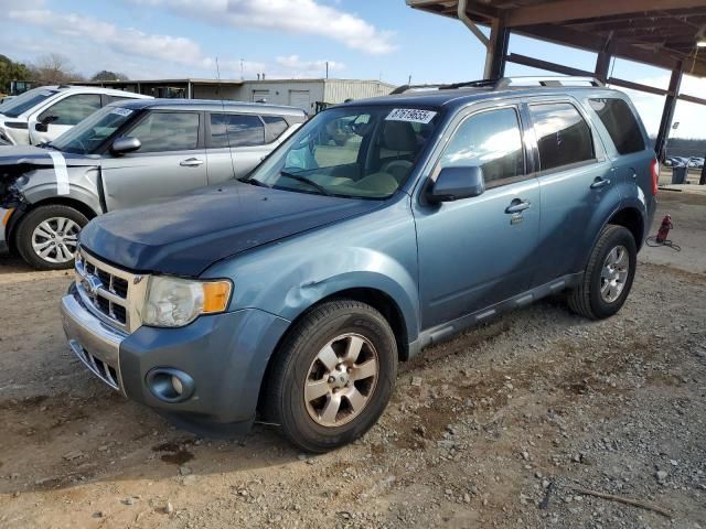 2011 Ford Escape Limited