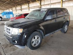 Carros con verificación Run & Drive a la venta en subasta: 2012 Ford Escape XLS