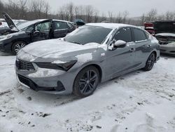 Salvage cars for sale at Marlboro, NY auction: 2024 Acura Integra A-SPEC Tech