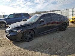 Acura salvage cars for sale: 2023 Acura Integra A-SPEC Tech