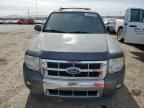 2010 Ford Escape Limited