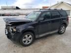 2010 Ford Escape Limited