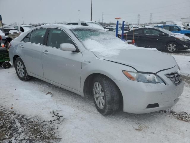 2009 Toyota Camry Hybrid