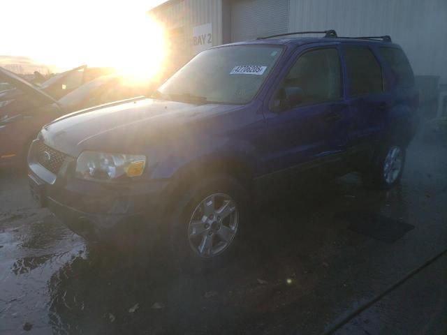 2006 Ford Escape XLT