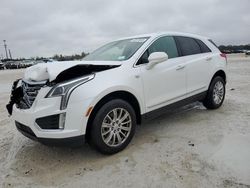 Salvage cars for sale at Arcadia, FL auction: 2019 Cadillac XT5