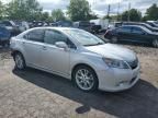 2010 Lexus HS 250H