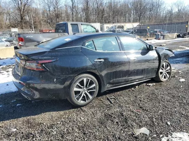 2023 Nissan Maxima SV