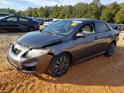 Toyota Corolla Base salvage cars for sale: 2010 Toyota Corolla Base