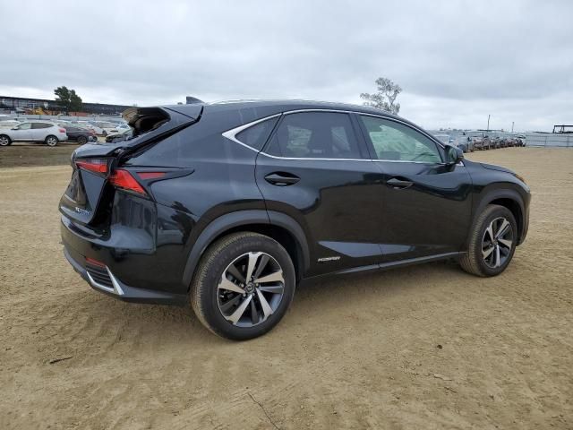 2019 Lexus NX 300H