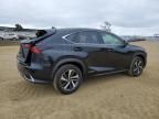 2019 Lexus NX 300H