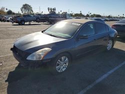 Nissan Vehiculos salvage en venta: 2011 Nissan Altima Base