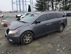 Salvage cars for sale at Windsor, NJ auction: 2012 Honda Odyssey EXL