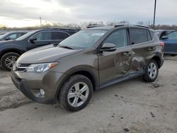 Salvage cars for sale at Louisville, KY auction: 2014 Toyota Rav4 XLE