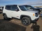 2019 Jeep Renegade Trailhawk