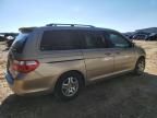 2006 Honda Odyssey EXL