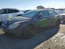 Chevrolet Vehiculos salvage en venta: 2010 Chevrolet Malibu LS