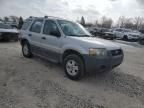 2005 Ford Escape XLS