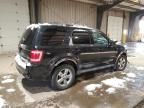 2008 Ford Escape Limited