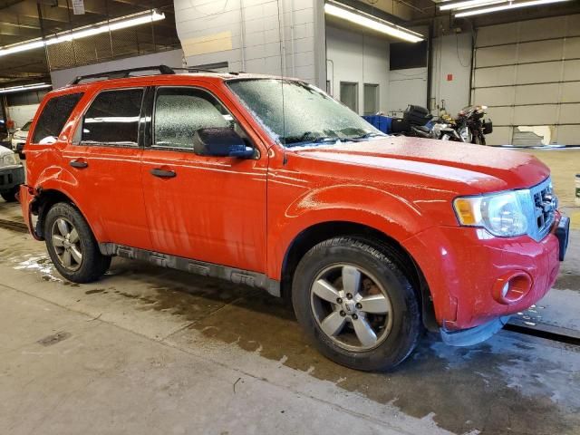 2009 Ford Escape XLT