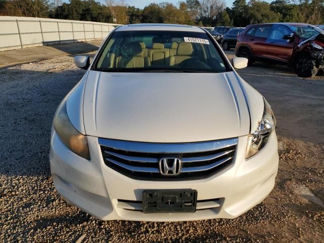 2011 Honda Accord EXL