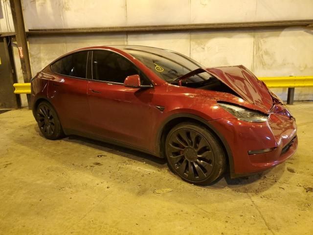 2024 Tesla Model Y