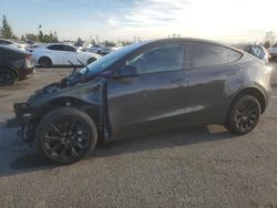 Salvage cars for sale at Rancho Cucamonga, CA auction: 2024 Tesla Model Y