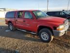 2000 Dodge Dakota Quattro