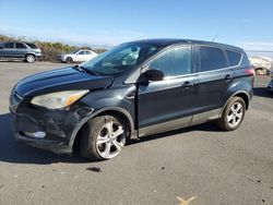 Salvage cars for sale at Kapolei, HI auction: 2013 Ford Escape SE