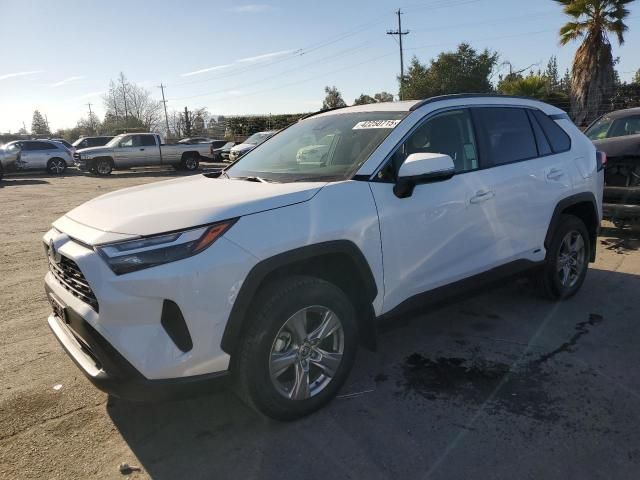 2024 Toyota Rav4 XLE