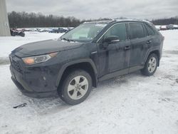 Salvage cars for sale at Ellwood City, PA auction: 2020 Toyota Rav4 XLE