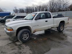 2001 Dodge Dakota en venta en Rogersville, MO