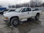 2001 Dodge Dakota